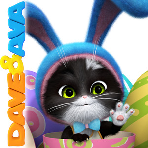 天天视频免费入口
