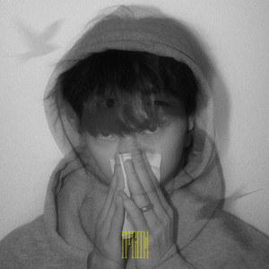 天天视频免费入口
