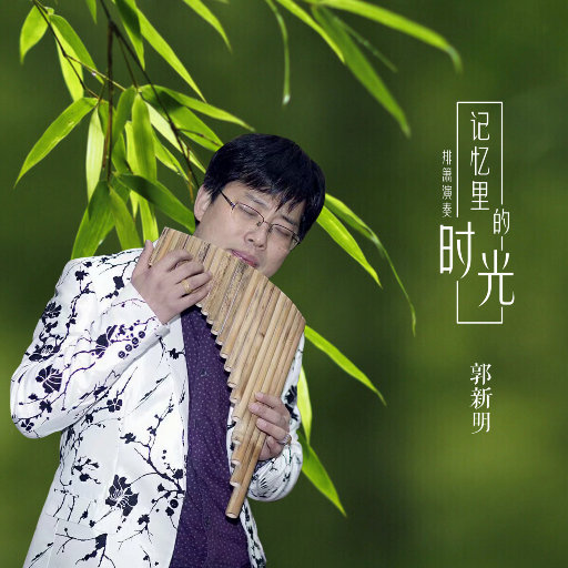 天天视频免费入口
